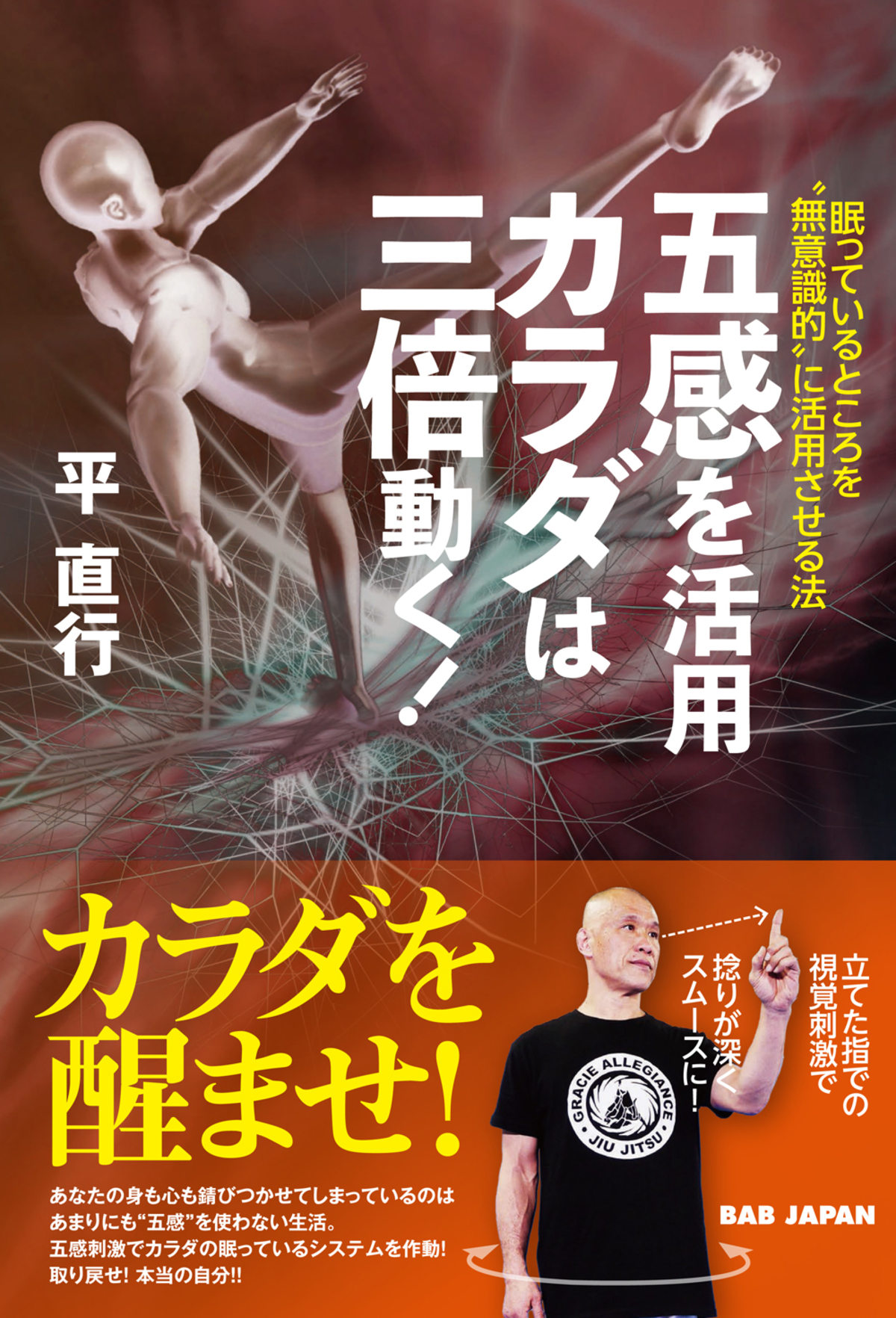 平直行氏の『手技伝〜眠れるカラダの秘密〜』DVDセット - DVD/ブルーレイ