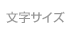 文字サイズ