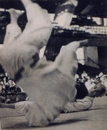三船久蔵 Mifune Kyuzo – 講道館 | 達人・名人・秘伝の師範たち
