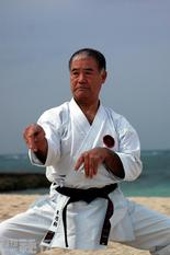 沖縄剛柔流空手道 全2巻揃い 東恩納盛男 沖縄剛柔流空手道 全2巻揃い 東恩納盛男 - メルカリ