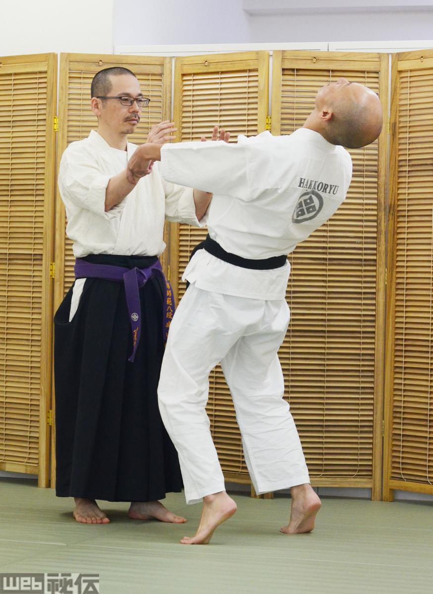 広沢成山 Hirosawa Seizan – 八光流柔術豊和会 | 達人・名人・秘伝の