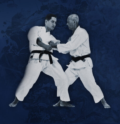 DVD 和道流の全て 第2巻 空手＆柔術拳法 大塚博紀