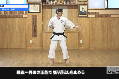 勁力発揮のための内功とは 太極拳・基本練功 第２巻 内功推手 | DVD 