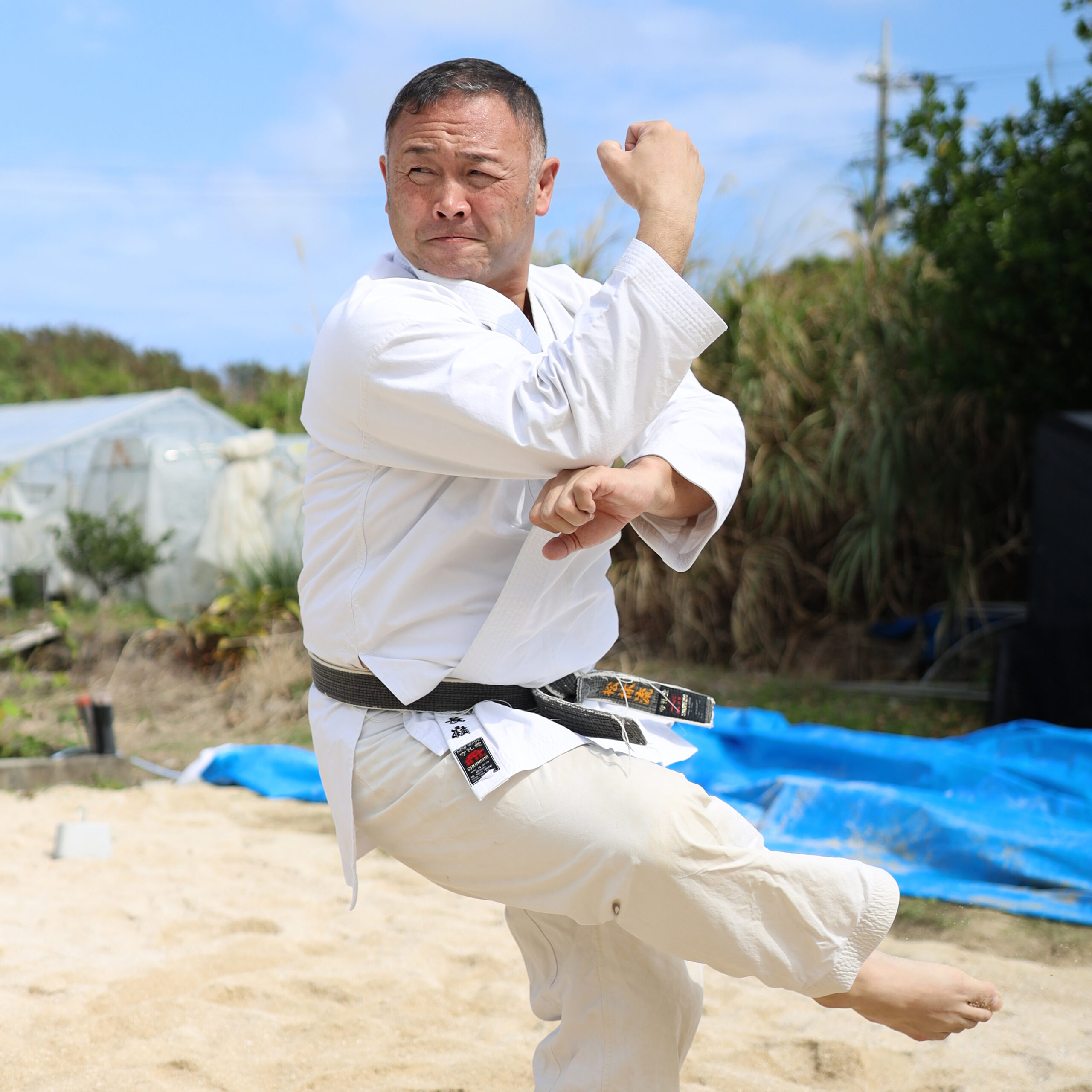 三次元の身体活性法　“気功”で鍛える！／張紹成 三次元の身体活性法 気功 で鍛える！ 張紹成